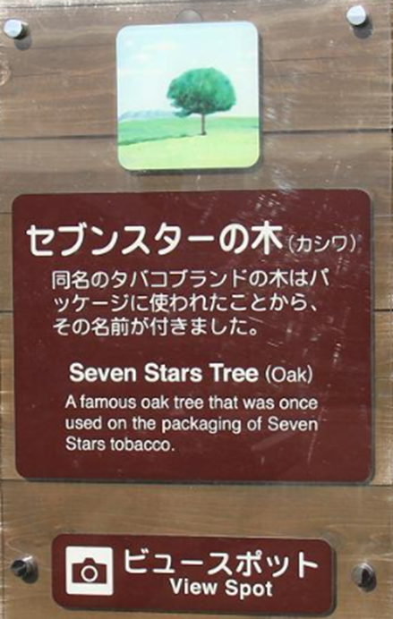 セブンスターの木の説明看板